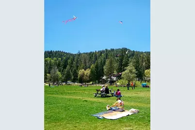 855 Bergschrund Drive, Crestline, CA 92325 - Photo 69