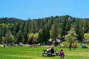 855 Bergschrund Dr, Crestline, CA 92325 - Photo 69