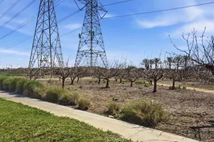 8443 Ranger, Chino, CA 91708 - Photo 15