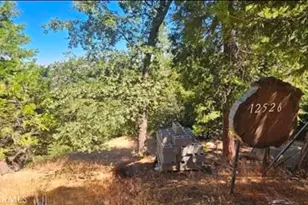25126 Jewel Dr, Crestline, CA 92325 - Photo 1