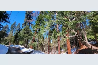 731 Jewel Drive, Crestline, CA 92325 - Photo 5