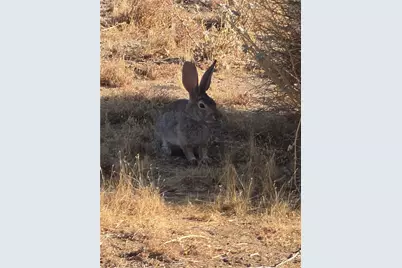 55685 Navajo, Yucca Valley, CA 92284 - Photo 7