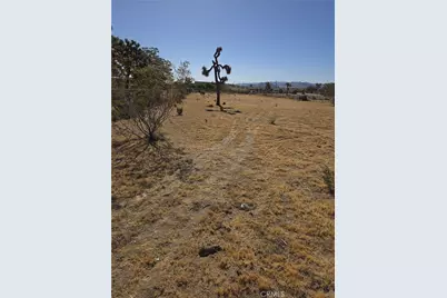 6295 Ruth, Yucca Valley, CA 92284 - Photo 7