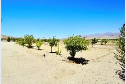 14993 Broadway, Cabazon, CA 92230 - Photo 7