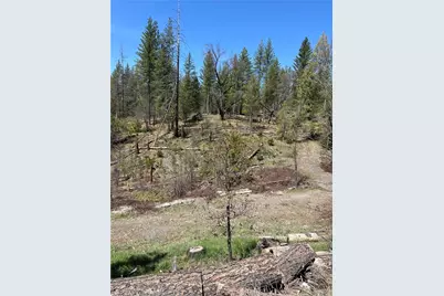 6493 Greeley Hill Road, Coulterville, CA 95311 - Photo 1