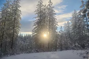 10379 McMahon Rd, Coulterville, CA 95311 - Photo 63