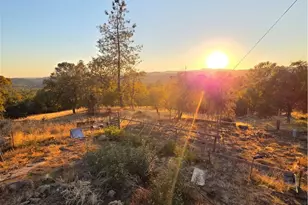 4760 Hirsch, Mariposa, CA 95338 - Photo 63