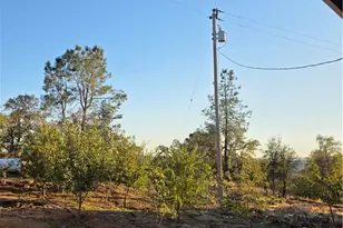 4760 Hirsch, Mariposa, CA 95338 - Photo 55