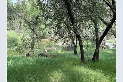 31578 Road 400, Coarsegold, CA 93614 - Photo 21
