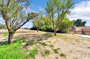 16895 Road 30 1/2, Madera, CA 93636 - Photo 51