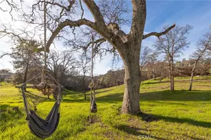 33940 Jennifer Way, Coarsegold, CA 93614 - Photo 49