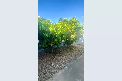 1218 Cleveland Avenue #152, Madera, CA 93638 - Photo 17