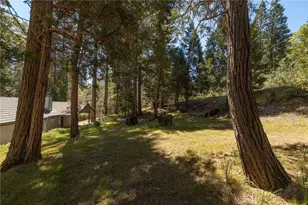 36333 Finegold Creek, North Fork, CA 93643 - Photo 61