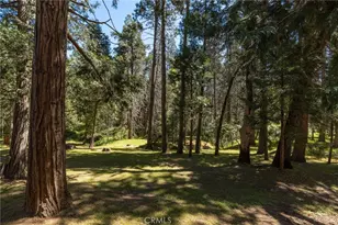 36333 Finegold Creek, North Fork, CA 93643 - Photo 49