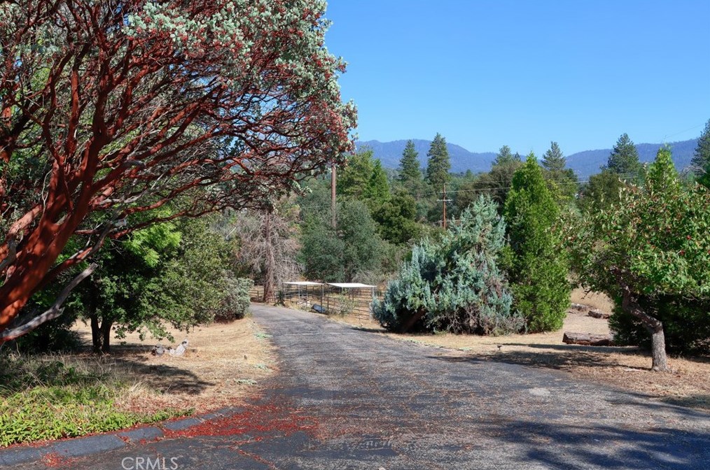 39210 Road 425b, Oakhurst CA  93644-8850 exterior