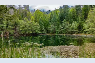 5657 Worman Road, Ahwahnee, CA 93601 - Photo 31