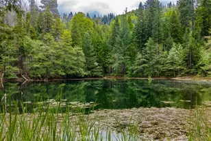 5657 Worman Rd, Ahwahnee, CA 93601 - Photo 31