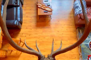 2116 49 Hwy, Mariposa, CA 95338 - Photo 9