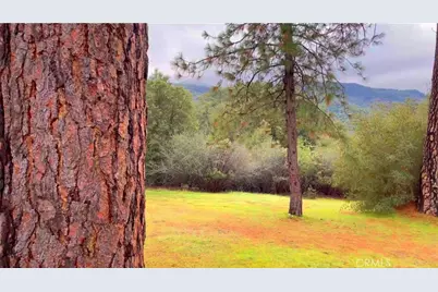 2116 49 Highway, Mariposa, CA 95338 - Photo 51