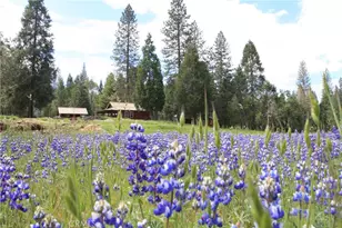 7072 Cranes Nest Rd, Mariposa, CA 95338 - Photo 69