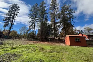 5906 Pine Top Dr, Mariposa, CA 95338 - Photo 9