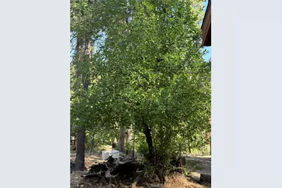 3502 Comet Mine, Mariposa, CA 95338 - Photo 29