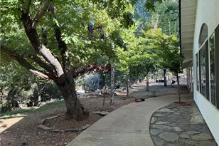 5419 Black Oak Ridge Rd, Mariposa, CA 95338 - Photo 7