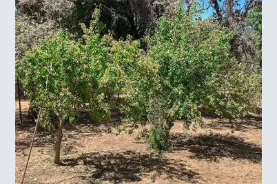 5857 Allred Road, Mariposa, CA 95338 - Photo 53