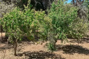 5857 Allred Rd, Mariposa, CA 95338 - Photo 53