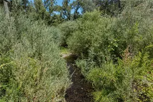 3981 Snow Creek Rd, Mariposa, CA 95338 - Photo 7