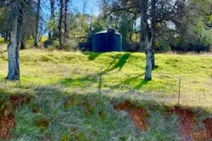 5222 Dogtown, Coulterville, CA 95311 - Photo 19