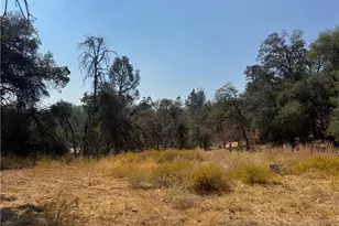 5393 Schafer Rd, Mariposa, CA 95338 - Photo 9