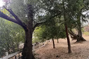 5264 Davis Rd, Midpines, CA 95345 - Photo 43