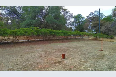 5264 Davis Road, Midpines, CA 95345 - Photo 3