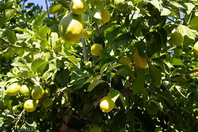 512 Spalding Court, Merced, CA 95348 - Photo 33