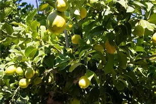 512 Spalding Ct, Merced, CA 95348 - Photo 33