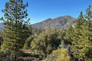 5830 Half Dome, Mariposa, CA 95338 - Photo 33