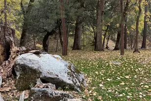 2458 Coachman, Mariposa, CA 95338 - Photo 37