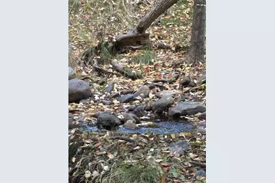 2458 Coachman, Mariposa, CA 95338 - Photo 39