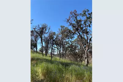 5358 Mariposa Heights Road, Mariposa, CA 95338 - Photo 3