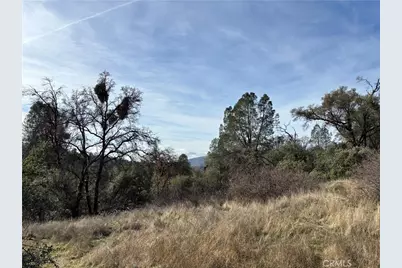 0 Daffodil Drive, Mariposa, CA 95338 - Photo 9