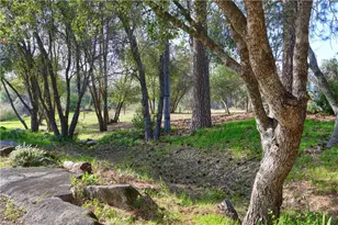 5641 Darrah, Mariposa, CA 95338 - Photo 47