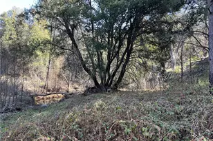 5643 Darrah Rd, Mariposa, CA 95338 - Photo 21