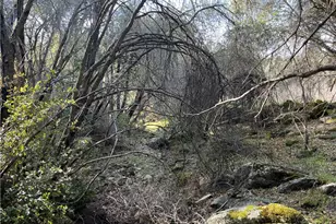 5643 Darrah Rd, Mariposa, CA 95338 - Photo 37