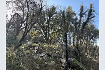 5643 Darrah Rd, Mariposa, CA 95338 - Photo 23