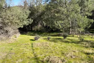 5643 Darrah Rd, Mariposa, CA 95338 - Photo 45