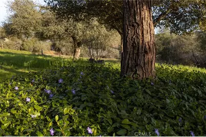 5072 Tip Top, Mariposa, CA 95338 - Photo 35