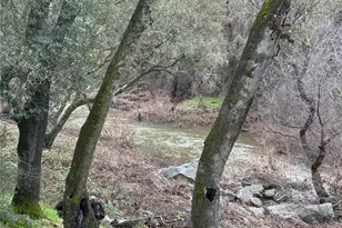 4026 Guadalupe Creek Rd, Mariposa, CA 95338 - Photo 61