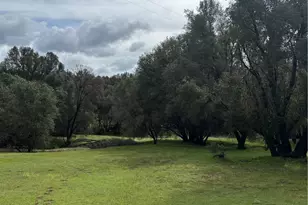 4026 Guadalupe Creek Rd, Mariposa, CA 95338 - Photo 3