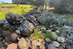 4026 Guadalupe Creek Rd, Mariposa, CA 95338 - Photo 55